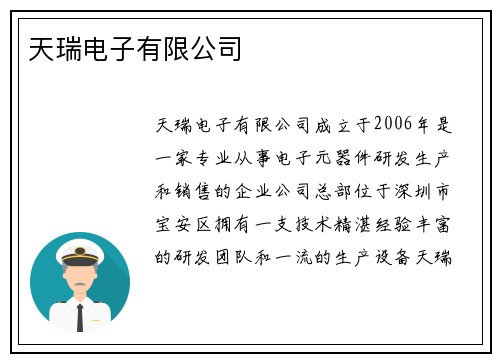 天瑞电子有限公司